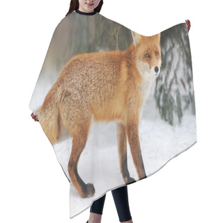 Personality  Red Fox Hair Cutting Cape