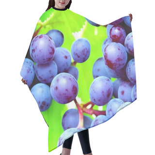 Personality  Background Photo Of Blue Grapes In Leaves Hair Cutting Cape