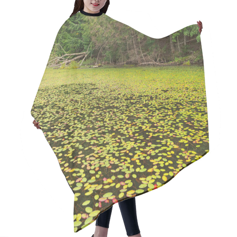 Personality  Water Shield Plants Covering The Lake On West Bear Lake In The Sylvania Wilderness In Michigan Hair Cutting Cape