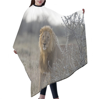 Personality  Male Lion Hair Cutting Cape