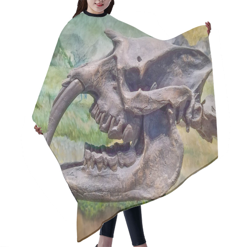 Personality  Side View Shot Astrapotherium Animal Skull Head Hair Cutting Cape