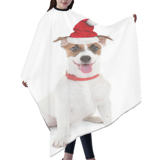 Personality  Puppy In Santa Hat Hair Cutting Cape