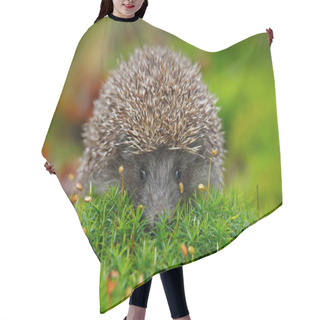 Personality  West European Hedgehog Hair Cutting Cape