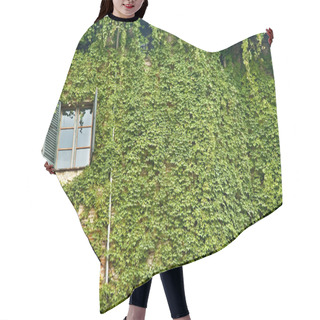 Personality  Window And Ivy Hair Cutting Cape