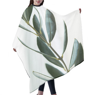 Personality  Close Up View Of Leaves Of Olive Branch On Blurred Background Hair Cutting Cape