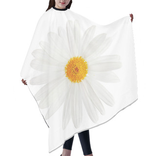 Personality  Chamomile Flower Hair Cutting Cape