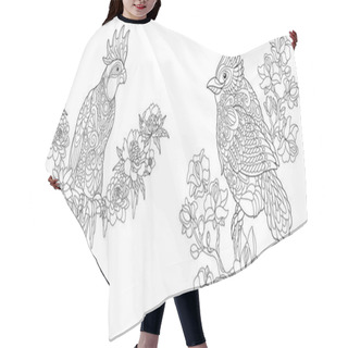Personality  Coloring Pages. Coloring Book For Adults. Colouring Pictures With Cockatoo And Red Cardinal Bird. Antistress Freehand Sketch Drawing With Doodle And Zentangle Elements. Hair Cutting Cape