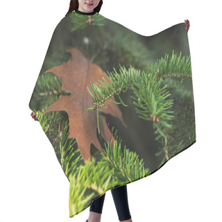 Personality  Pine Tree Branches Hair Cutting Cape