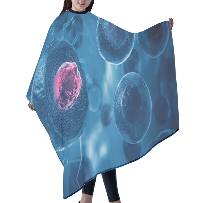 Personality  Embryonic Stem Cells , Cellular Therapy Hair Cutting Cape