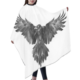 Personality  Picture Of The Bird The Raven In Front On A White Background Hair Cutting Cape