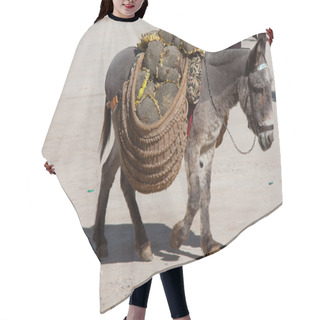 Personality  Donkey Carrying A Sunflower In Chinchon Near Madrid Hair Cutting Cape