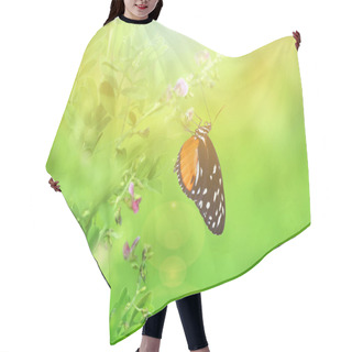 Personality  Vintage Photo Of Butterfly And Flower  Hair Cutting Cape