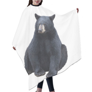 Personality  Young Black Bear Sitting , Isolated On White Background Hair Cutting Cape