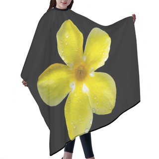 Personality  Golden Trumpet Flower Hair Cutting Cape