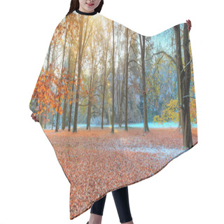 Personality  Beautiful Colored Trees In Autumn, Landscape Photography Hair Cutting Cape