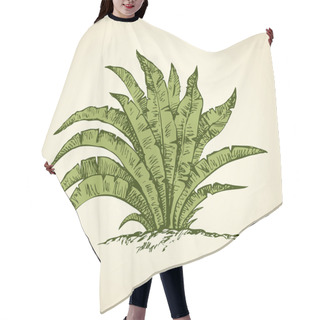Personality  Tropical Bush. Vector Drawing Hair Cutting Cape