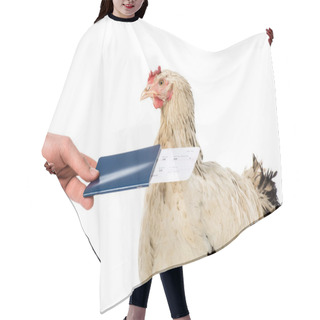 Personality  Partial View Of Person Giving Passport With Ticket To Hen Isolated On White  Hair Cutting Cape