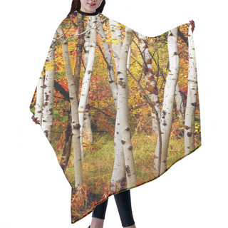 Personality  Fall Birch Trees Hair Cutting Cape