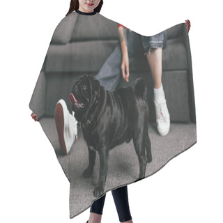 Personality  Cropped View Of Pug Beside Girl With Prosthetic Leg In Living Room, Selective Focus Hair Cutting Cape