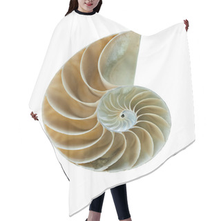 Personality  Nautilus Shell - Great Detailed Shot Hair Cutting Cape