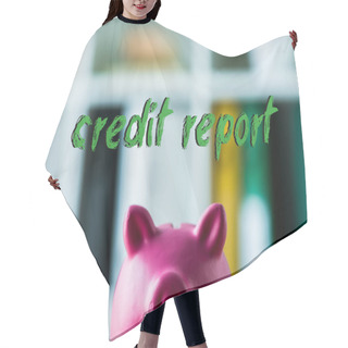 Personality  Pink Piggy Bank On Wooden Desk Near Credit Report Letters In Office  Hair Cutting Cape