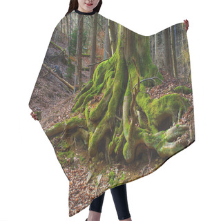 Personality  Surreal Fairy Tale Fine Art Spooky Fantasy Color Outdoor Image Of Gigantic Roots Of An Old Tree, Covered With Moss, Foliage, Magic Mysterious / Fairy Tale Forest - Fantastic Realism In Nature Hair Cutting Cape