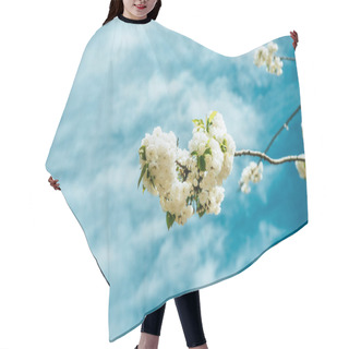 Personality  Close Up View Of Beautiful Cherry Tree Blossom And Cloudy Sky Hair Cutting Cape