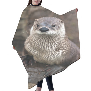 Personality  Otter Hair Cutting Cape