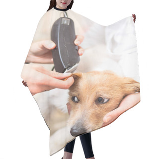 Personality  Hairdresser Mows Jack Russell Terrier Fur Hair Cutting Cape