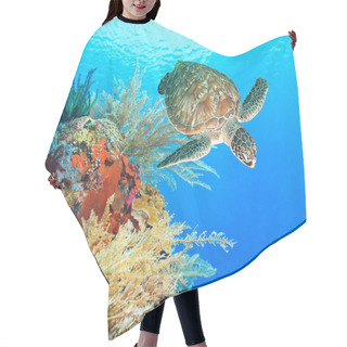 Personality  Turtle And Coral Hair Cutting Cape
