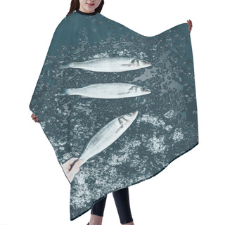 Personality  Top View Of Human Hand And Raw Fresh Sea Bass Fish With Ice On Black  Hair Cutting Cape