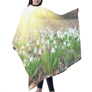 Personality  White Snowdrop Flowers In Spring Forest Hair Cutting Cape