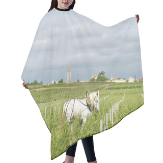 Personality  Labour Vineyard With A Draft White Horse-Saint-Emilion-France Hair Cutting Cape