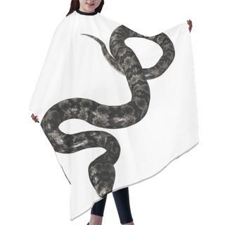 Personality  Cottonmouth Snake On White Hair Cutting Cape