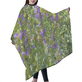 Personality  Hyssop Hair Cutting Cape
