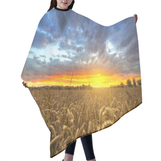 Personality  Sunset Over The Wheat Field Hair Cutting Cape