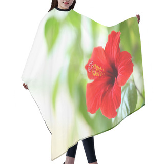 Personality  Beautiful Hibiscus Flower Hair Cutting Cape
