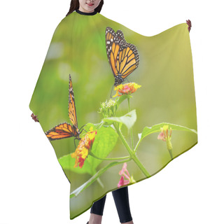 Personality  Two Tiger Butterfly On The Flowers Hair Cutting Cape