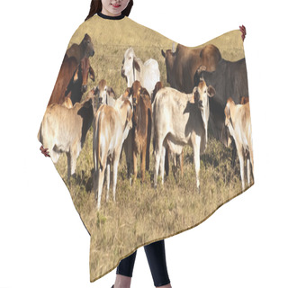 Personality  Cows And Calves Hair Cutting Cape