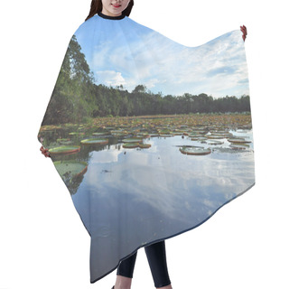 Personality  River With Giant Water Lilies Hair Cutting Cape