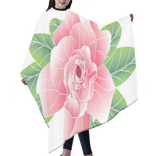 Personality  Abstract Of Desert Rose, Mock Azalea, Pinkbignonia, Impala Lily Flower With Leaves On White Background. Hair Cutting Cape