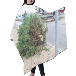 Personality  A Christmas Tree That Was Put Down At The Roadside After Christmas. Hair Cutting Cape