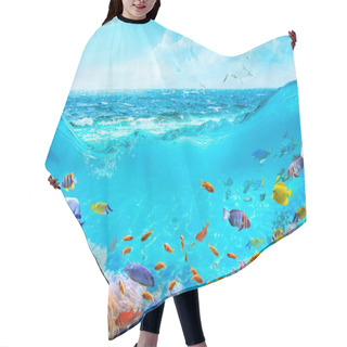 Personality  Colorful Tropical Fish In Coastal Waters. Animals Of The Underwater Sea World. Life In A Coral Reef. Ecosystem. Hair Cutting Cape