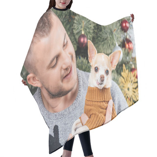 Personality  Portrait Of Young Man In Festive Winter Sweater Looking At Little Chihuahua Dog In Hands At Home Hair Cutting Cape