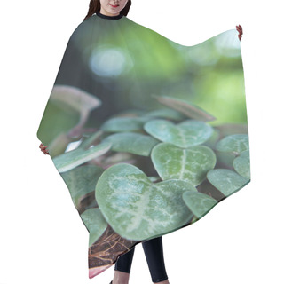 Personality  String Of Hearts Hair Cutting Cape