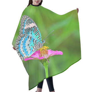 Personality  Butterfly On Flower Hair Cutting Cape