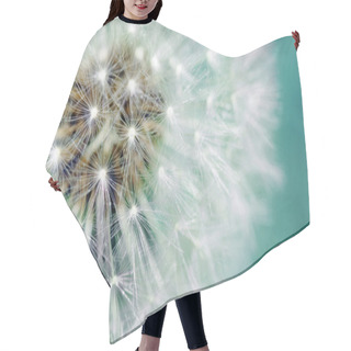 Personality  Dandelion Fluffy Seeds Over Blue Hair Cutting Cape