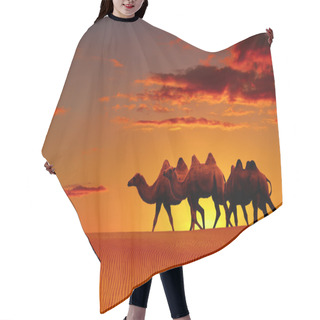 Personality  Desert Fantasy, Camels Walking Hair Cutting Cape