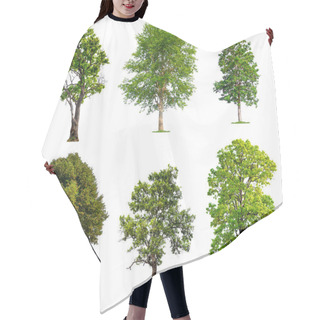 Personality  Solated Big Tree On White Background Hair Cutting Cape