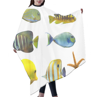 Personality  Tropical World Of Fish Hair Cutting Cape
